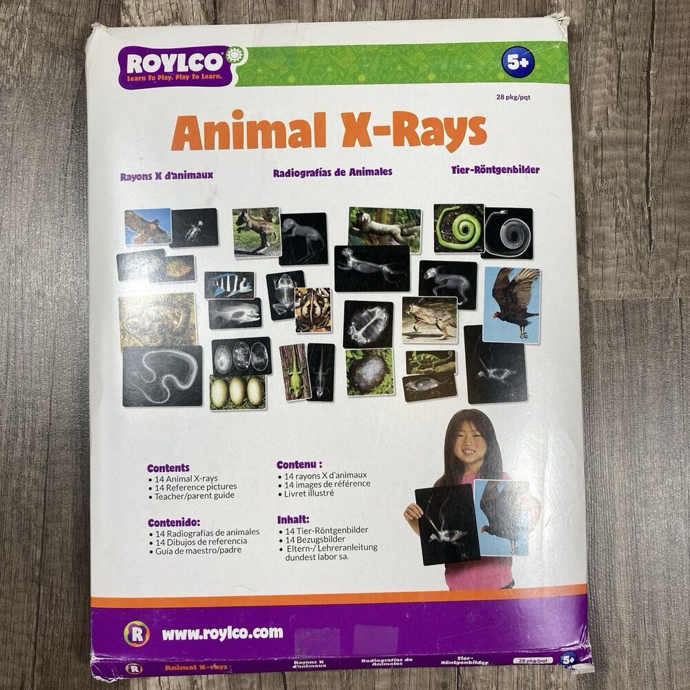 Animal X-Rays Biology Reference Photos Set 14 Teacher Parent Guide Home School